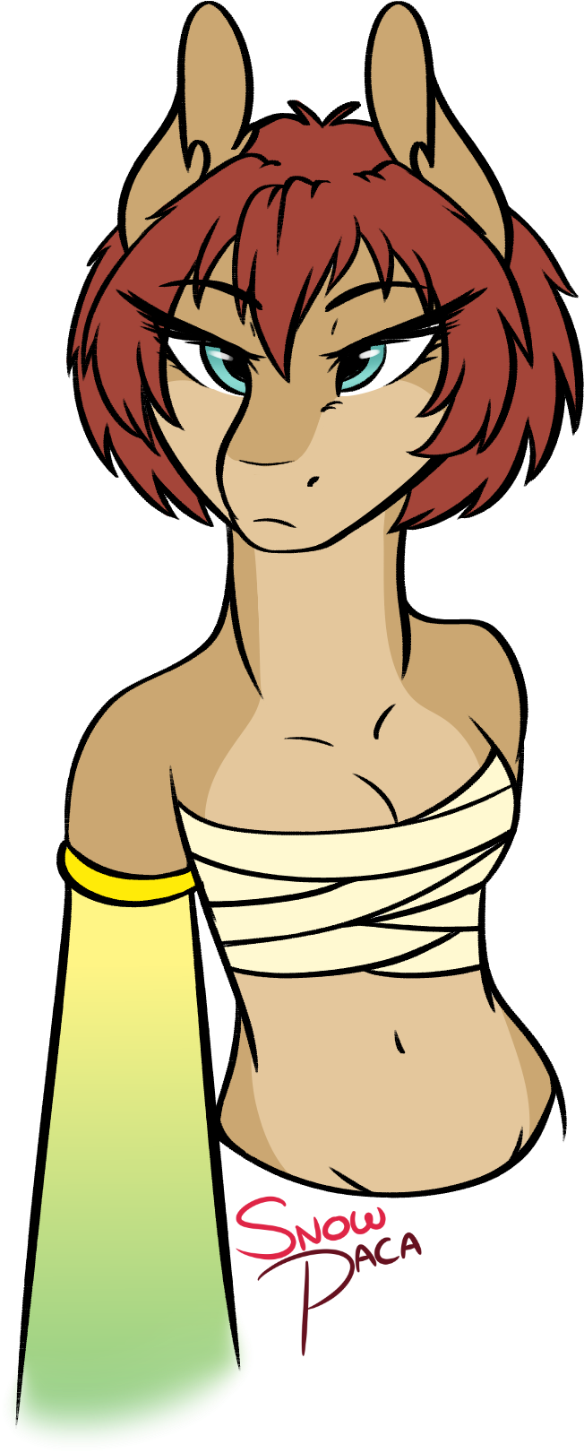 Anthro, Anthro Oc, Artist - Cartoon (884x1746)