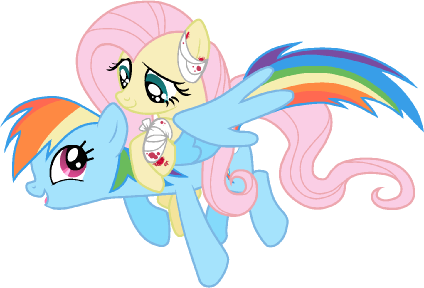 Scintillant H, Bandage, Blood, Fluttershy, Injured, - Rainbow Dash Wing S (1491x1002)