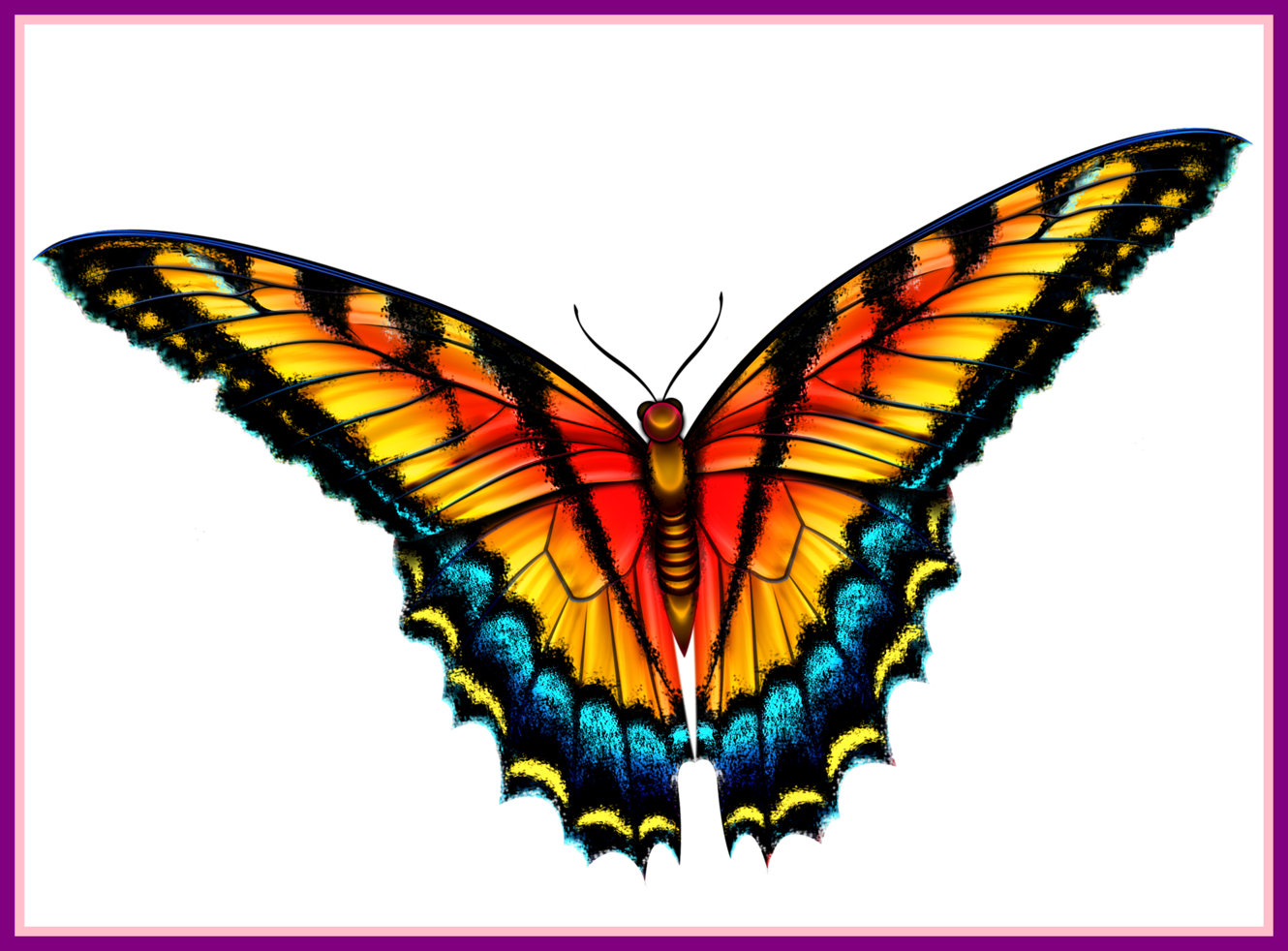 Butterfly Clipart Monarch Butterfly Clipart Free Inspiring - Smokey Mountain Butterflies In Field License Plate (1330x982)