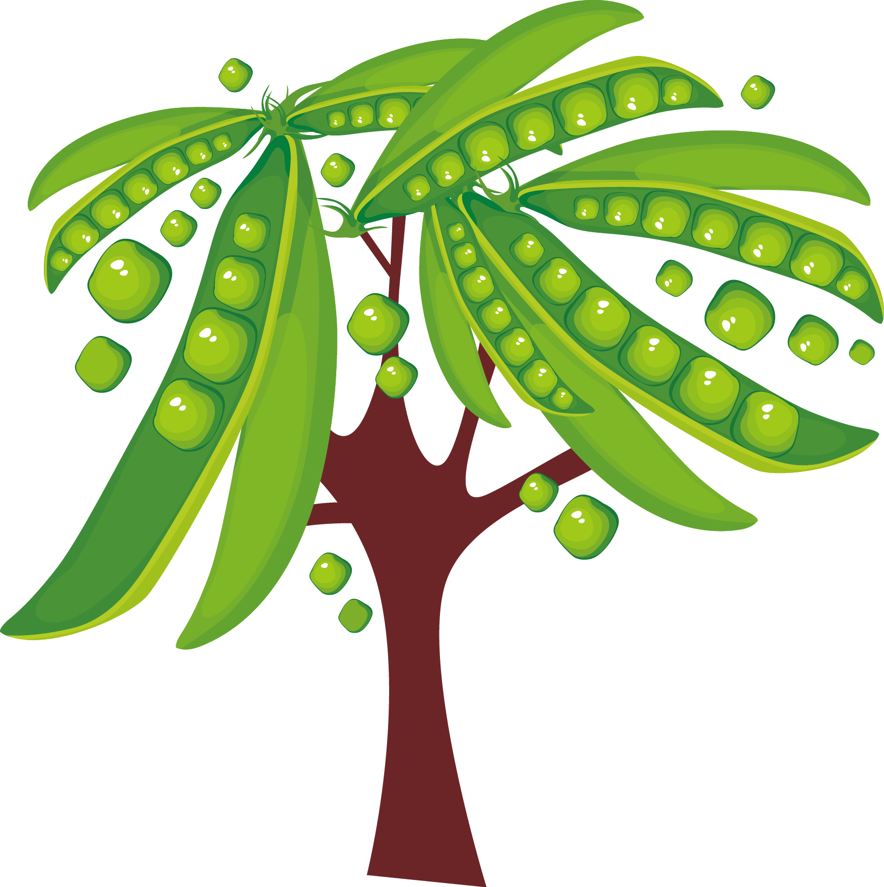 Pea Tree Icon - Floral Flower Wall Sticker 200 (1756x1761)