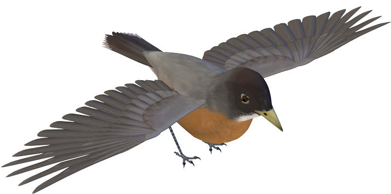 Flock Of Birds Png Transparent Images Pluspng - Photoscape Effects Birds Png (877x544)