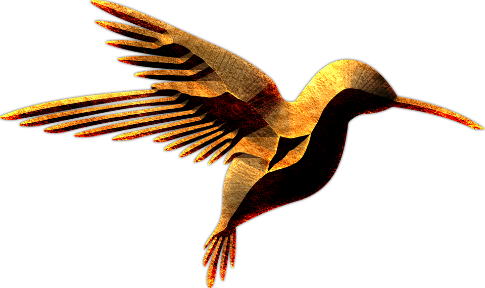 Flying Bird Png 12, Buy Clip Art - Oiseau En Vol Png (960x570)