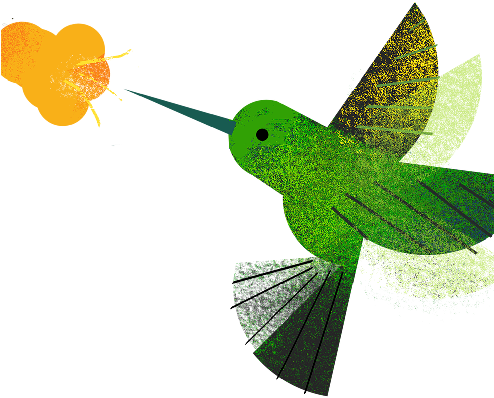 Guainumbiensemble - Jacamar (980x1024)