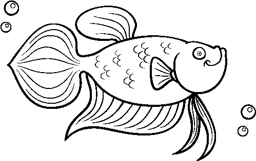 Dibujo De Carpa Dorada Para Colorear - Pez Carpa Para Colorear (600x470)