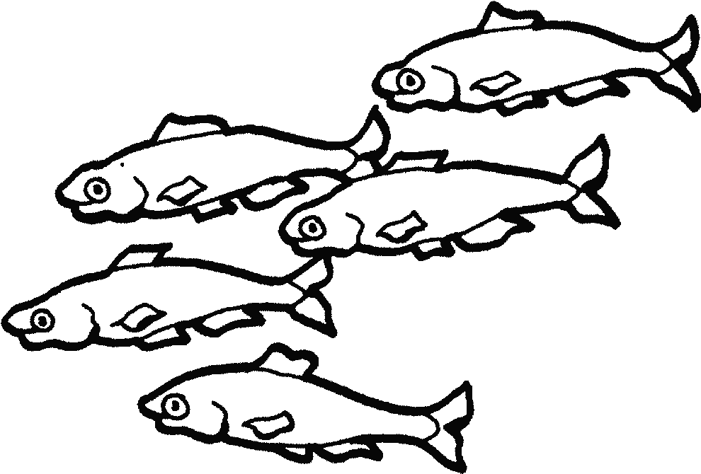¿qué Enfermedades Puede Transmitirte Un Animal Doméstico - School Of Fish Colouring Page (1024x768)