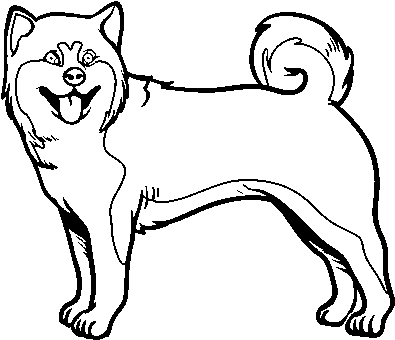 Dibujo De Perro Akita Inu Para Colorear - Dibujar Un Perro De La Nieve (600x470)