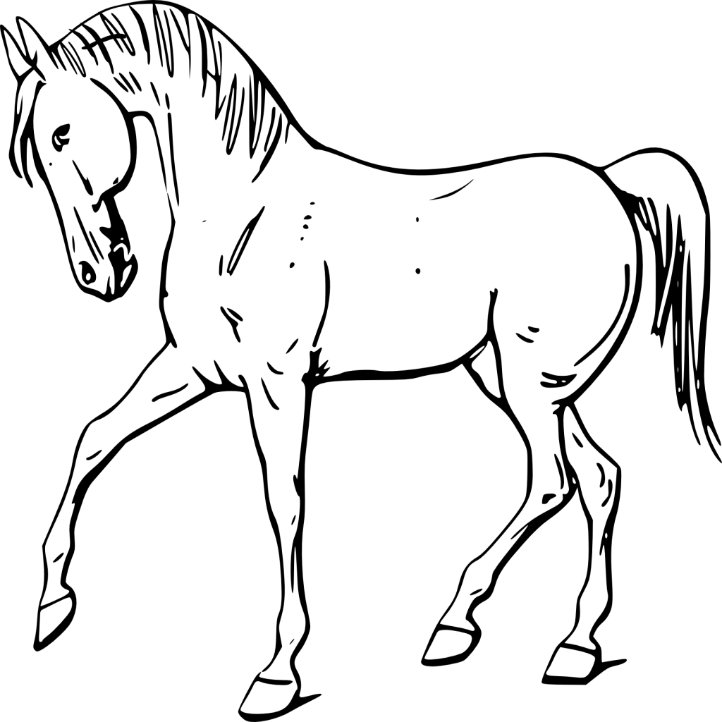 Fantástico Colorear Caballos Componente - Outline Of A Horse (1024x1024)