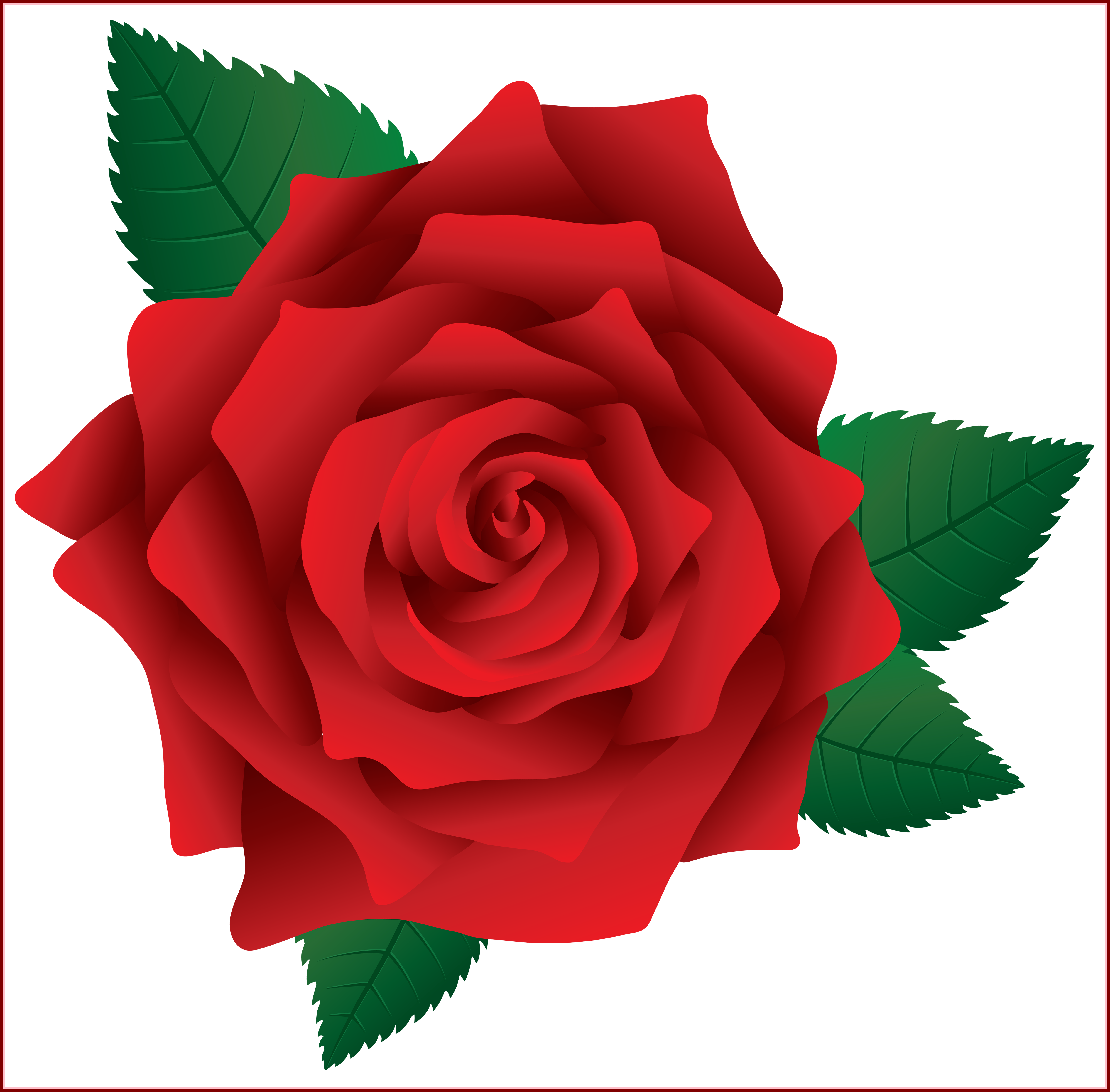 Incredible Clipart And Rose Pict For Red Flower Ideas - Pink Roses Clip Art (6003x5904)