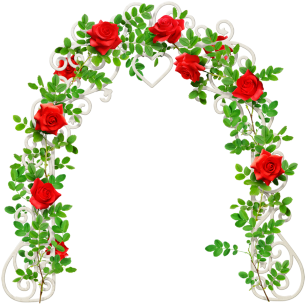Roses,pink,roze,rosa, - Garden Roses (600x601)