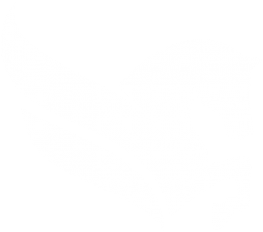 A Payroll Solutionfor Everyone - Management (384x384)