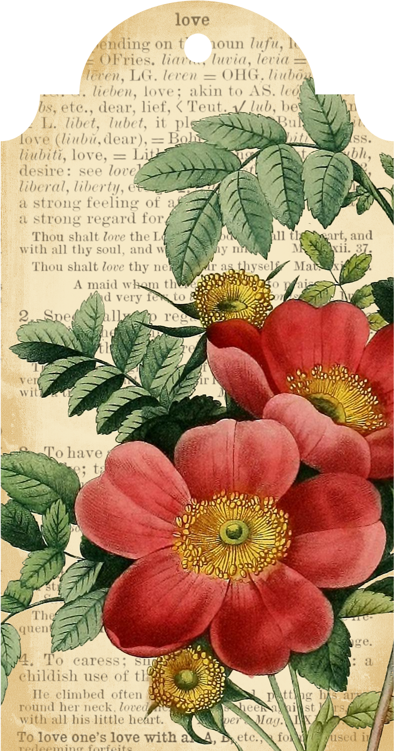 Callmevictorian Free Flower Printable Tags 1 - Printable Floral Red (1100x1700)