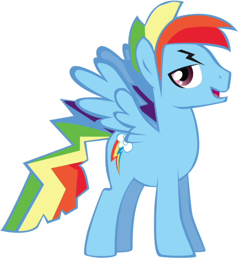 Rainbow Blitz T - My Little Pony Rainbow Blitz (817x978)