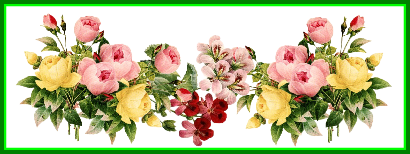 Appealing Vintage U Etikette Und Picture Of Rose Flower - Flowers With Transparent Background (1598x600)