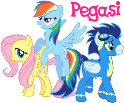 Pegasus @flavor Racial Traits Average Height - My Little Pony Friendship (500x357)
