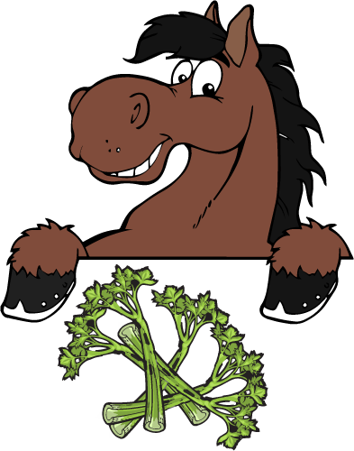 Can Horses Eat Celery - Eat Celery Horse (393x500)