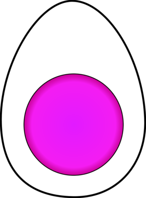 Hard Boiled Egg Vector Clip Art - Boiled Egg (300x408)