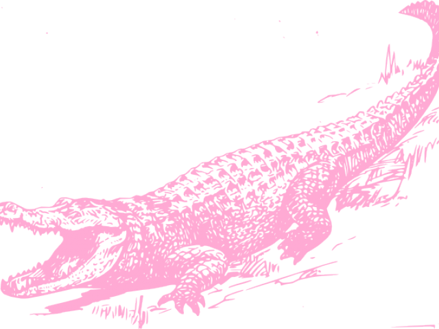 Alligator Clipart Pink - Black And White Alligator (640x480)