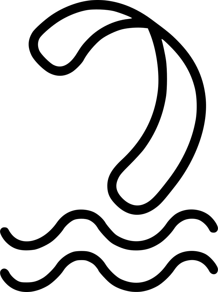 Kite Surfing Water Activities Comments - Kite Surfing Water Activities Comments (732x980)