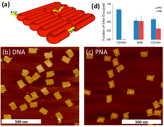 Schematic Drawing Of Modified Origami Displaying Three - Molecule (700x437)