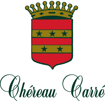 Château De Chasseloir - Diane Penning - Celebration Of Life: A Dedication (367x352)