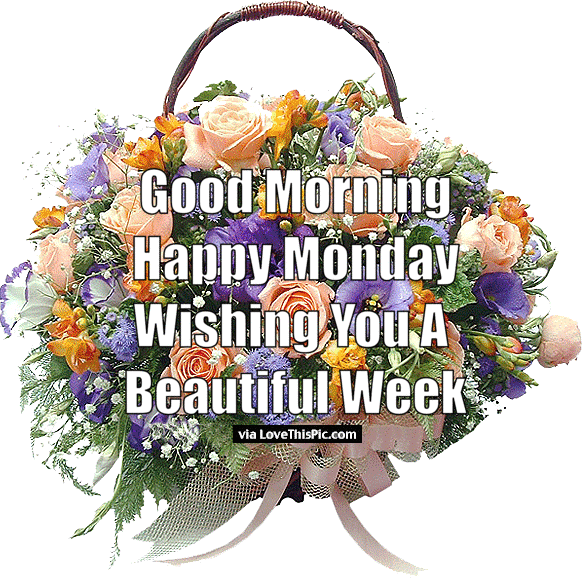 Good Morning Happy Monday Wishing You A Beautiful Week - Happy Monday New Week Blessing Gif (582x579)
