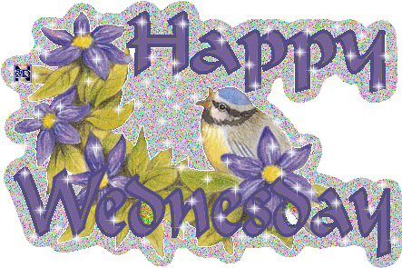 14, 2016 Good Morning & Welcome To A Wonderful Wednesday - 14, 2016 Good Morning & Welcome To A Wonderful Wednesday (450x300)