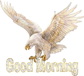 What A Beautiful Friday Morning The Goddess Has Blessed - Good Morning With Eagle (400x400)