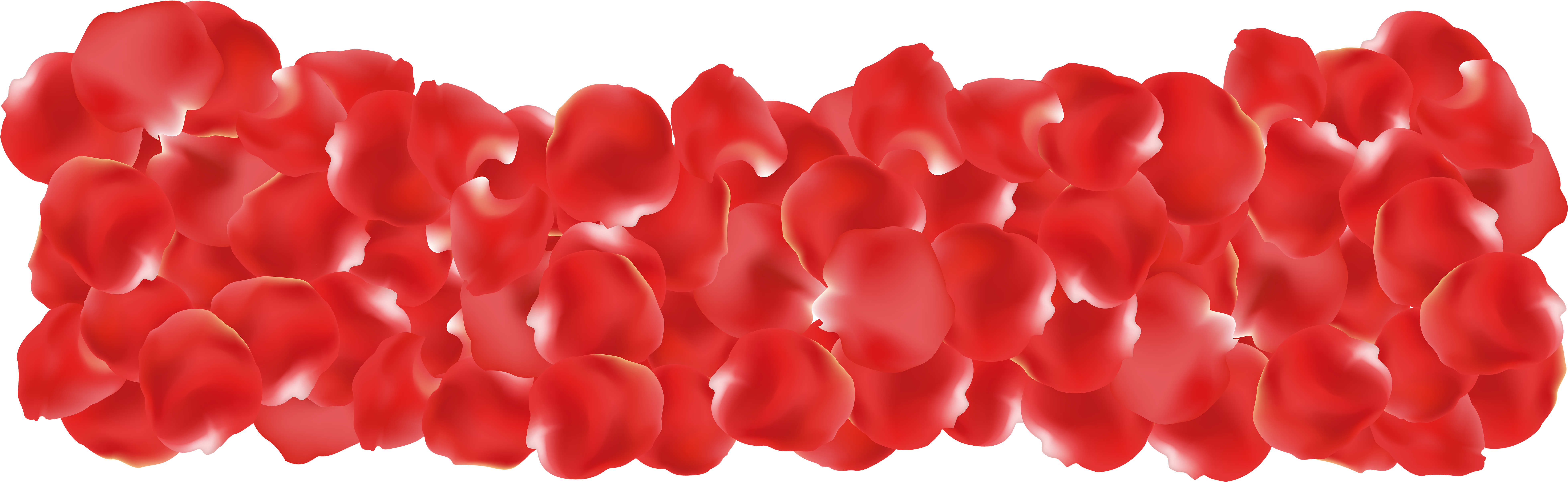 Rose Petals Clipart - Rose Petal Frame Png (8000x2507)