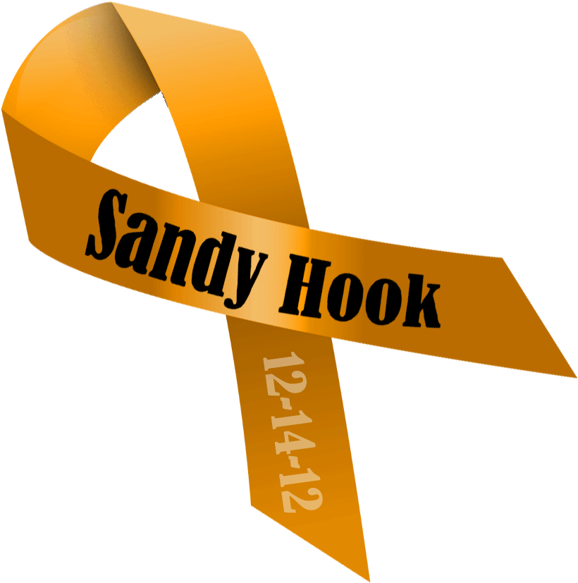 12 14 12 Sandy Hook Elementary School, Newtown, Ct, - Someday Is Not A Day (842x842)