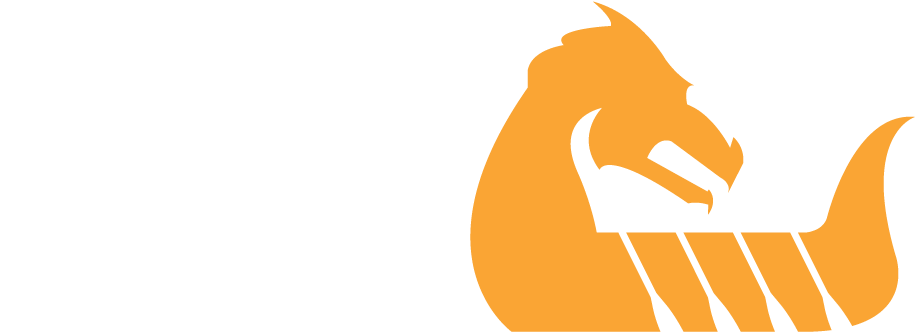 Wellington Dragon Boat Festival - Wellington Dragon Boat Festival (971x382)