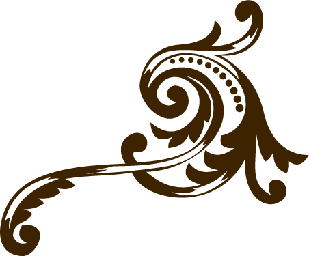 Curls Gone Wild Is A Full Service Salon In Downtown - Graphic Design (452x375)