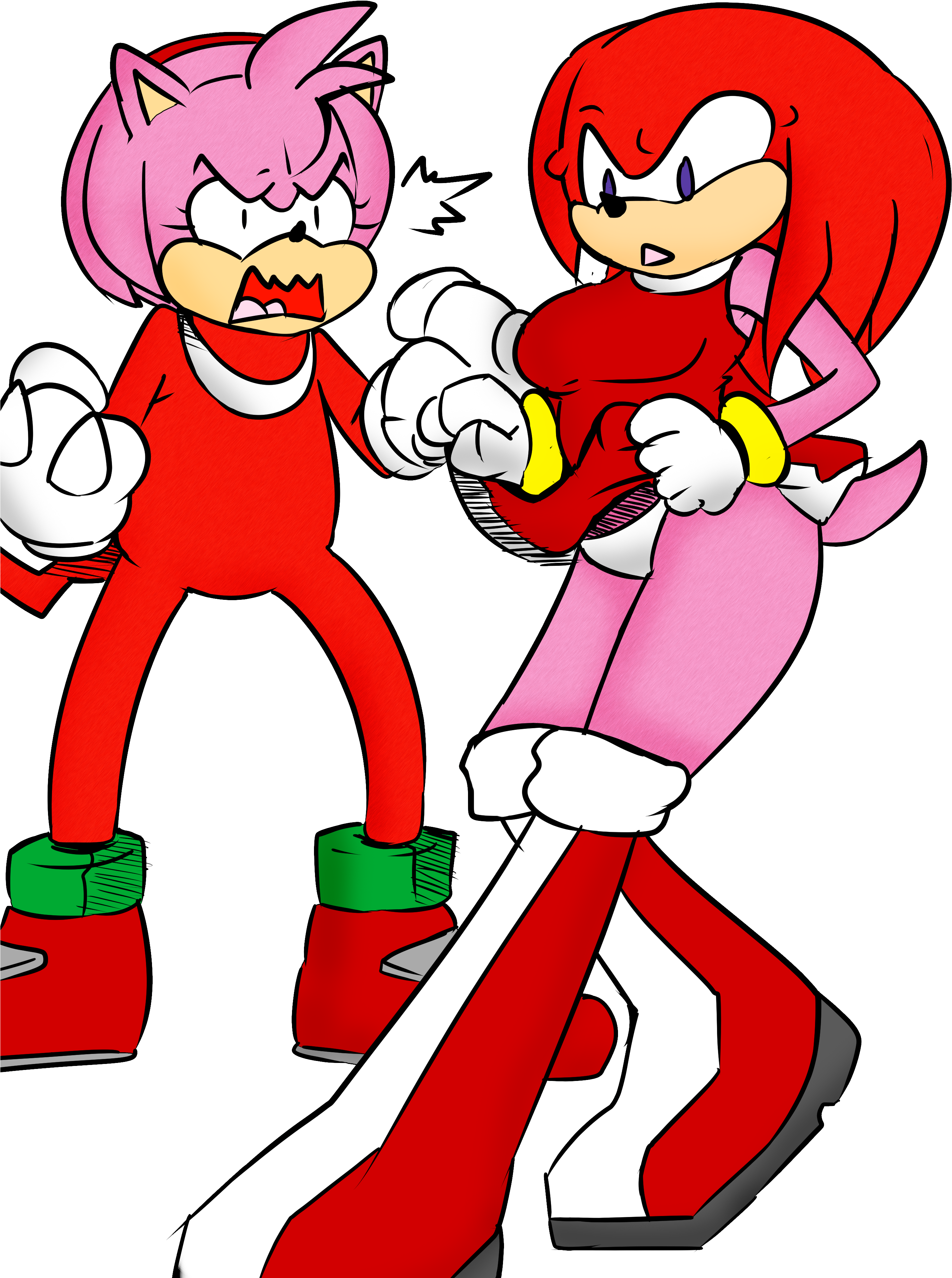 Matt And Nat Sonic Swap - Amy And Rouge Clothes Swap (2894x4093)