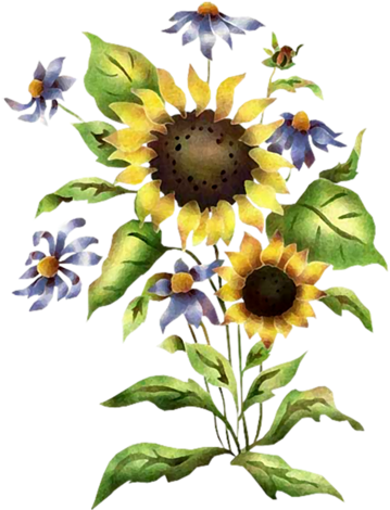 Png / Tube - Designer Stencils Sunflower Mix Wall Stencil (386x500)