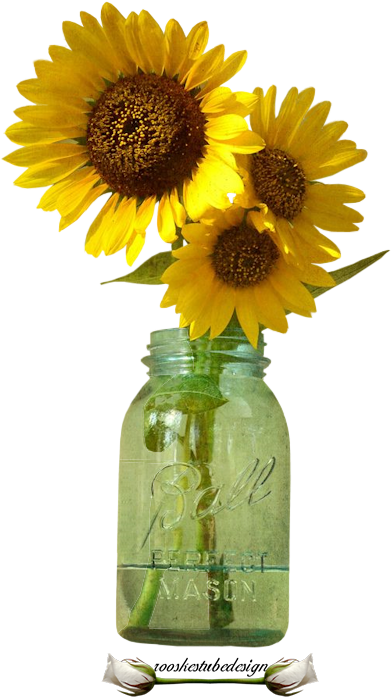 Bloemen Rooskestubedesign Bloem - Sunflower (400x800)