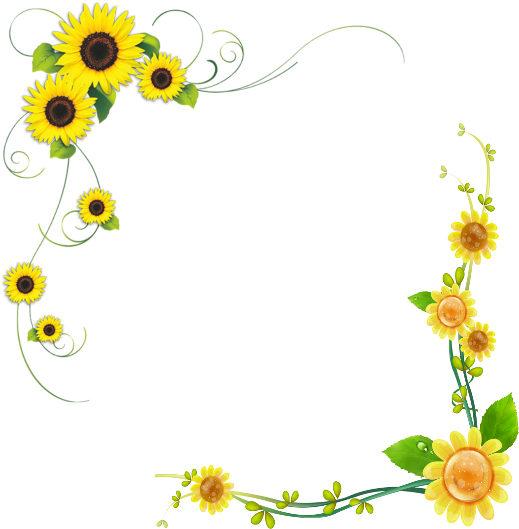 Common Sunflower Floral Design - Sunflower Borders (1071x1073)