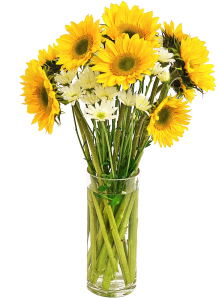 Transparent Sunflowers In Vase (600x600)
