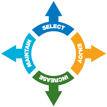 Membership Upgrades Available As Company Grows - Roundabout Icon Svg (347x347)