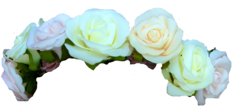 Flower Crown Transparent Png Pictures Free Icons And - Flower Crown Transparent Background (500x254)