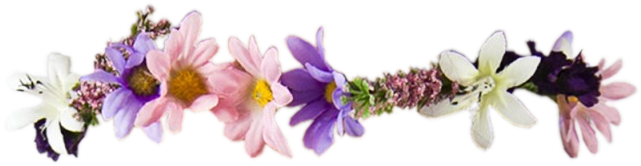 Flower Crown Clip Art Tumblr - Meme (647x260)
