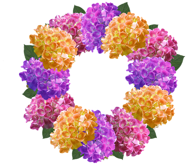 Purple Hydrangea Cliparts 3, Buy Clip Art - Hydrangea Colorful Wreath Summer Floral Monogram Tote (720x720)