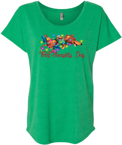 Feliz Naughty Dog Ladies' Triblend Dolman Sleeve - Dream Do Believe Repeat Next Level Ladies Triblend (500x500)