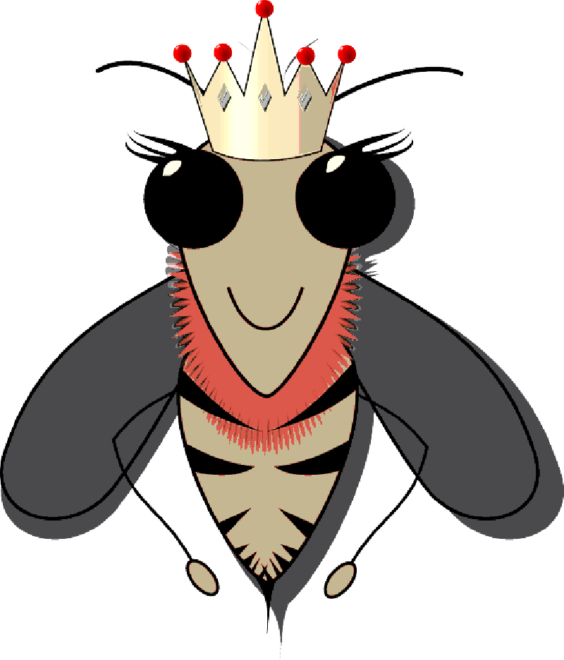 Queen Bee, Bee, Beehive, Beeswax, Hive, Honey - Queen Bee Slip-on Shoes ! (800x937)