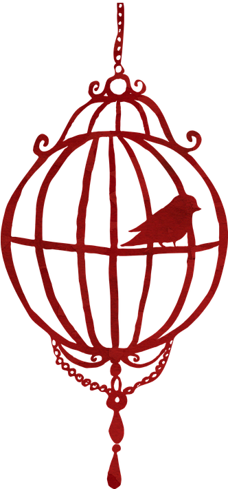 Birdcage Bird Cage Silhouette Pattern - Birdcage (331x720)
