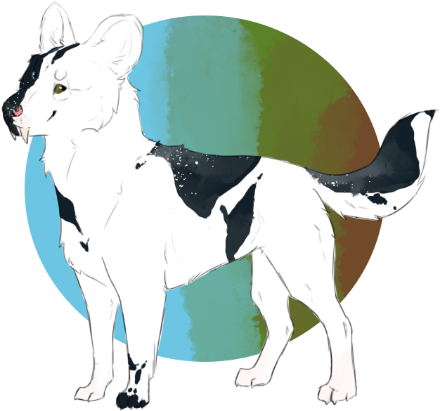 Loki Has A Piebald Mutation As Well As Hetero Eyes - Canadian Eskimo Dog (650x650)
