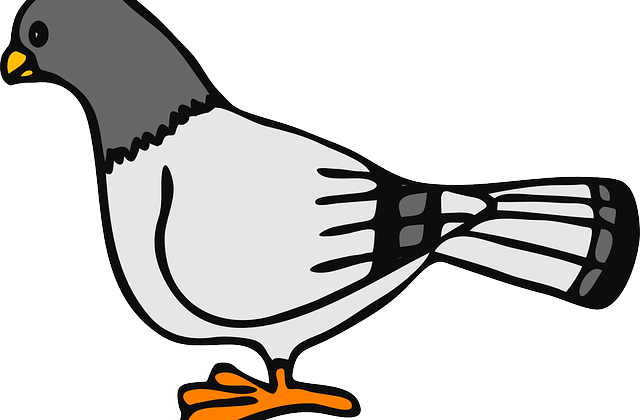 Zoom - Ka Se Kabutar In Hindi (640x420)