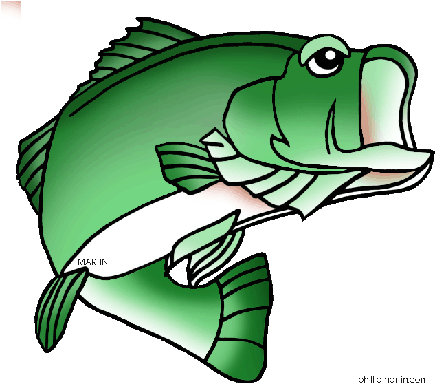 Largemouth Bass Fish Clip Art Bass Fish Clipart - Clip Art (648x571)