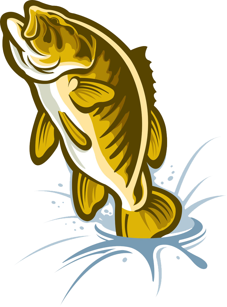Cartoon Largemouth Bass Illustration - Illustration - (739x1000) Png Clipar...