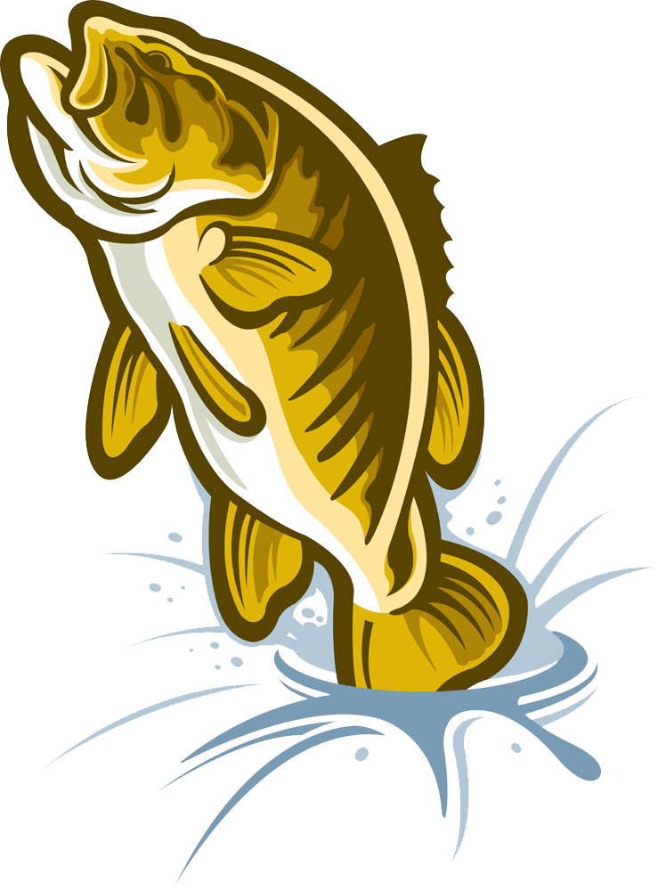 Cartoon Largemouth Bass Illustration - Illustration (739x1000)