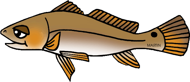 Awesome Largemouth Bass Fish Drawings - North Carolina's State Fish (648x301)