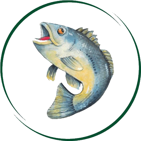 Black Bass Hotel - Bass (479x480)